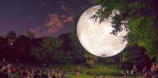 Dorset Moon this Summer