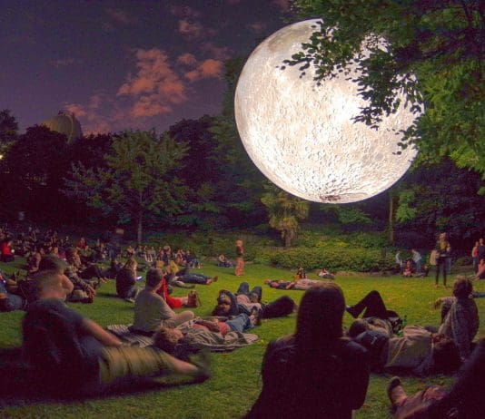 Dorset Moon this Summer