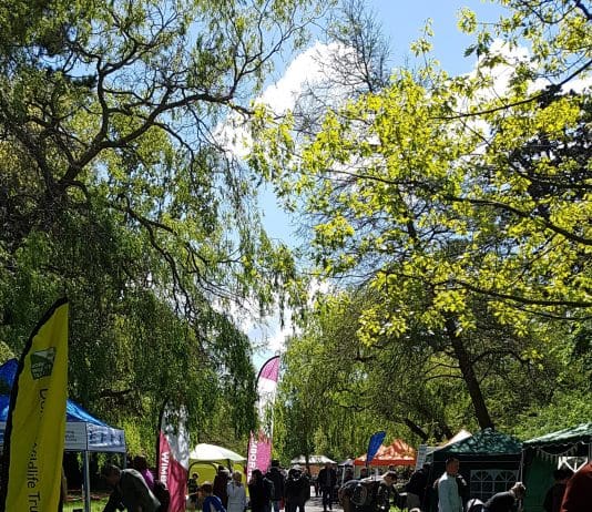 Picnic in the Park: Wildlife and Wellbeing Event