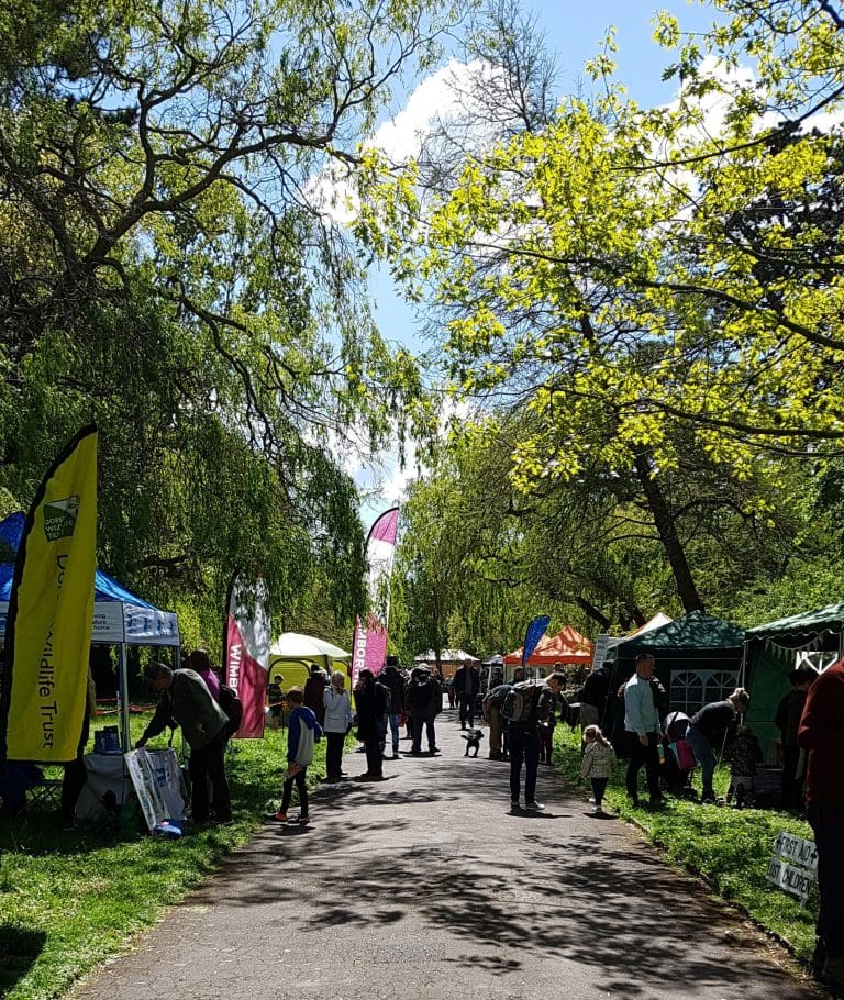Picnic in the Park: Wildlife and Wellbeing Event
