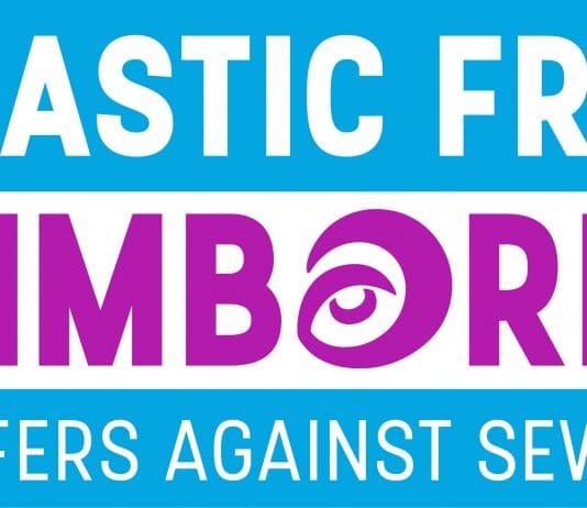 WIMBORNE ACHIEVE PLASTIC FREE COMMUNITY STATUS