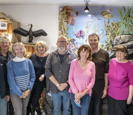 Rockpool art comes to The Wild Seas Centre