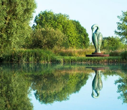 Fresh produce grown at sculpture park donated to community Food Share project
