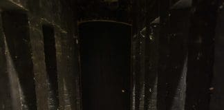 Dorchester’s Dirty Secrets