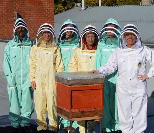 School club provides bee-rilliant learning opportunity