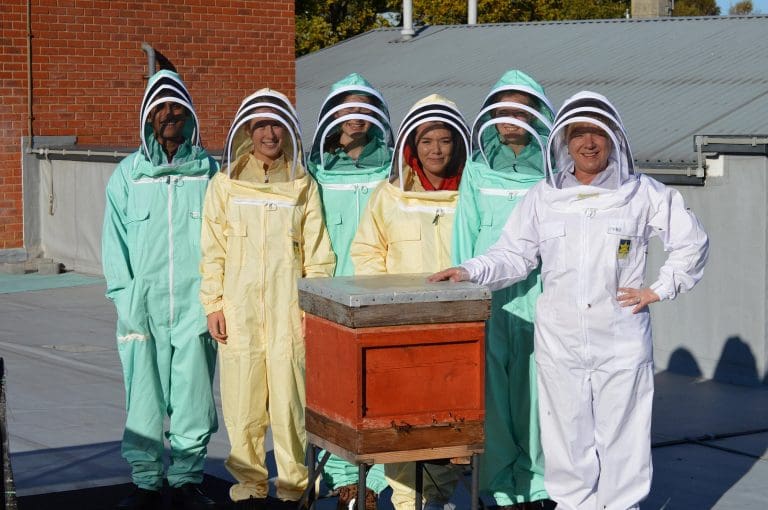 School club provides bee-rilliant learning opportunity