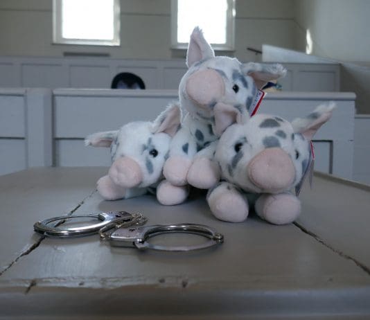 The big bad wolf to be tried for attempted murder as part of Shire Hall Historic Courthouse Museum’s free summer family events