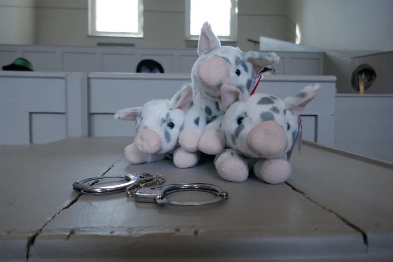 The big bad wolf to be tried for attempted murder as part of Shire Hall Historic Courthouse Museum’s free summer family events