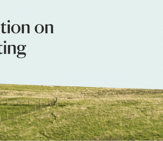 Can You Help Us Take On The Hunting Law Breakers?