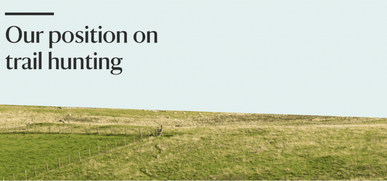 Can You Help Us Take On The Hunting Law Breakers?