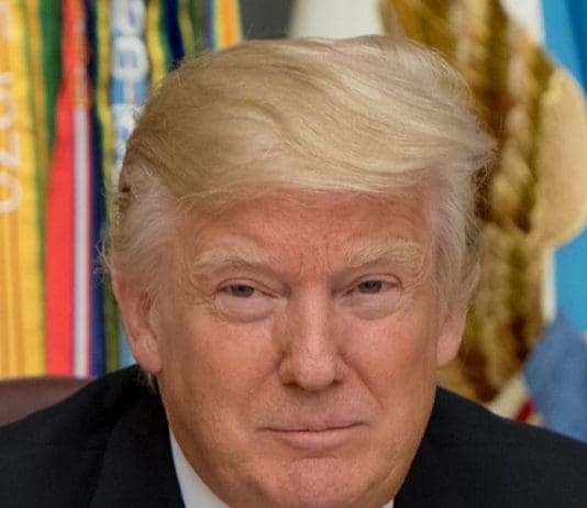 I see you, Donald Trump