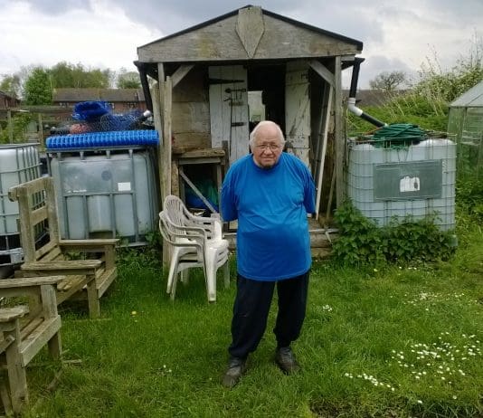 Surgical Mesh And Use Of For Hernia Repair. Is It In Need Of Review?