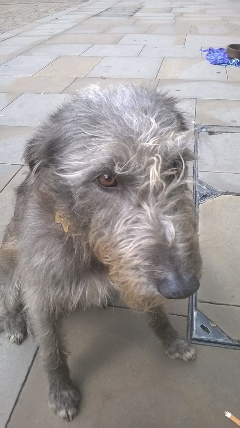 We Fought The Council and The Police And We Won