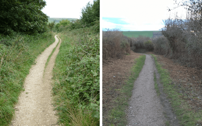 Sustainable transport and wildlife conservation in Bridport