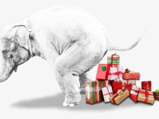 THE BREXIT WHITE ELEPHANT