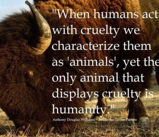 Looking away will not make this stop