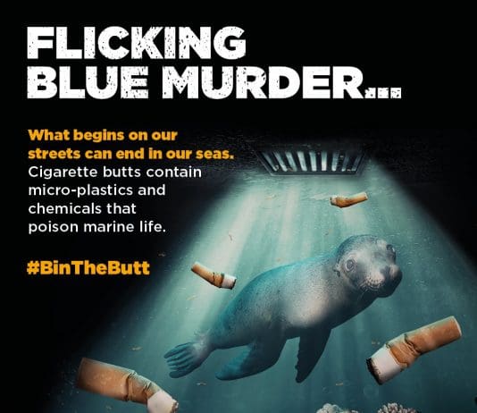 Littered cigarette butts are poisoning our oceans