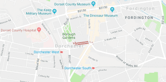 Witness appeal after sexual assault in Dorchester