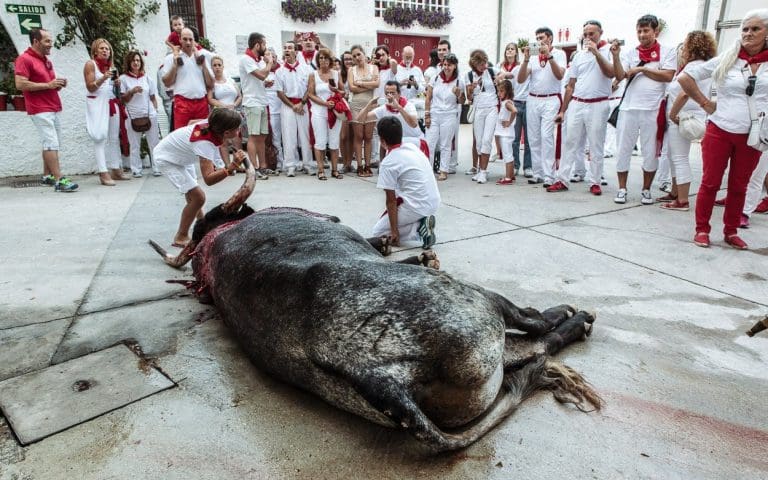 Bullfighting and Running with the Bulls are a cultural sickness