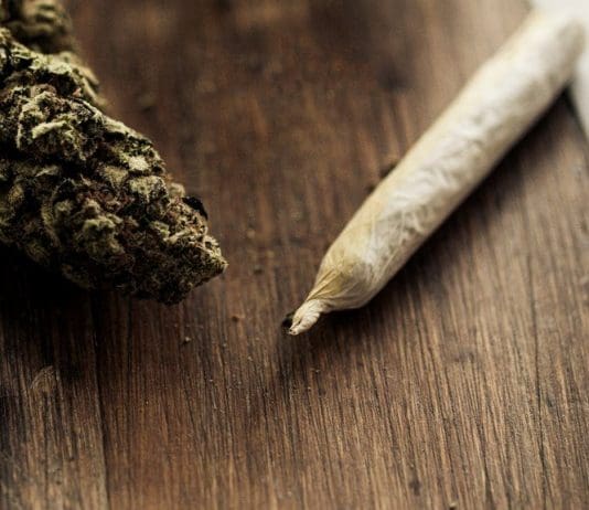 They don’t teach life in school