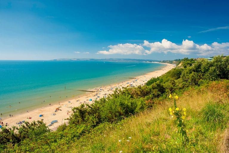 Litter campaign cleans up along award-winning seafront