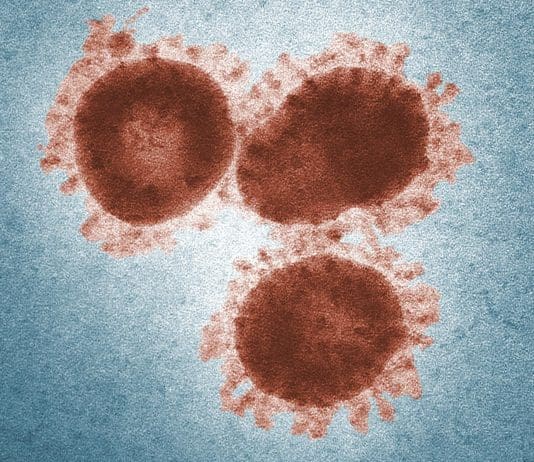 Convid_19 Fact Check: Be lead by science not untrustworthy sources