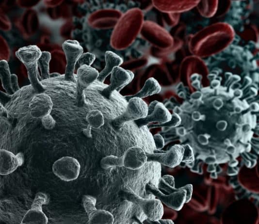 The Imperial College report: Keep informed