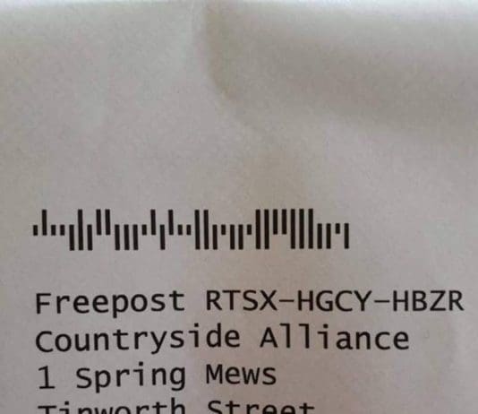 We’re pretty sure you can see where we’re going with this!