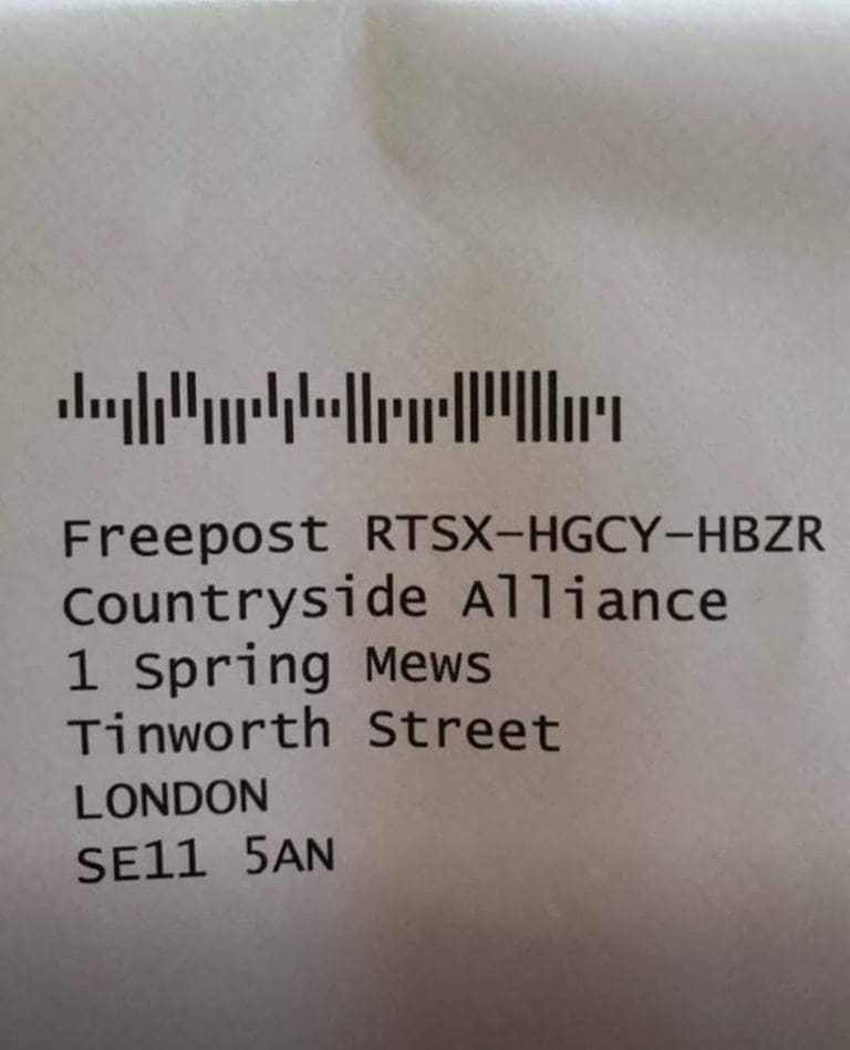 We’re pretty sure you can see where we’re going with this!