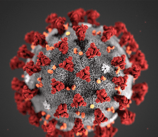 This fact reveals how catastrophically wrong the UK government dealt with Covid-19