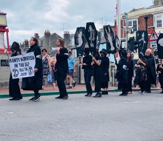 PLENTY MORE FISH IN THE SEA? TELL THE TRUTH