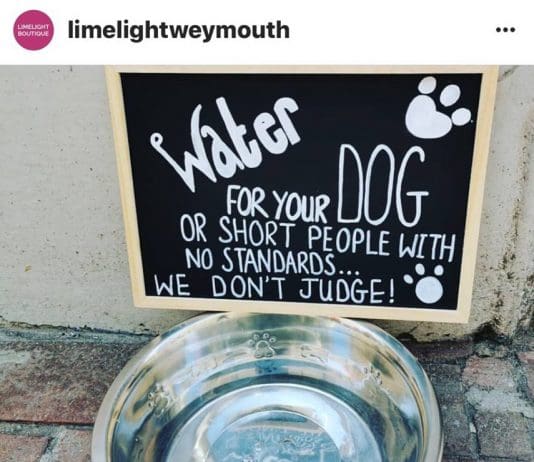 Dog friendly Weymouth