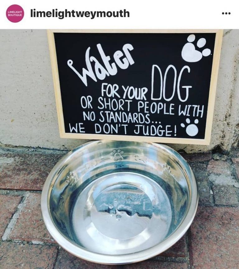 Dog friendly Weymouth