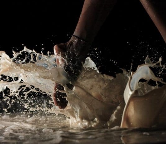 Dorset Moon Festival coming to Bournemouth, Sherborne and Weymouth