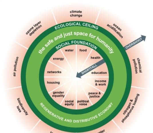 By reframing the economy, Kate Raworth’s Doughnut Economics changes our view of who we are and where we stand