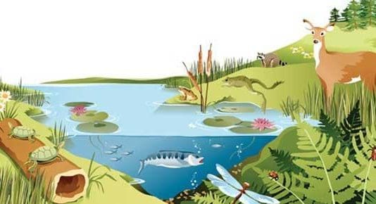 Tory government: ‘We are one of the world’s leading nations in tackling climate change’. We are doomed