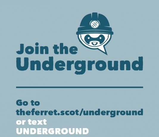 Grassroots Innovations From Media Fund Partners