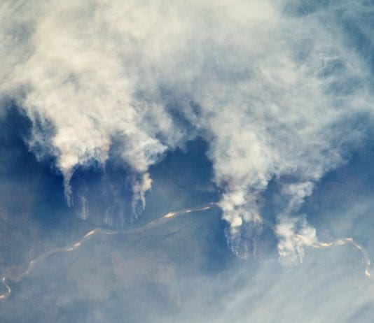 UK Trade Minister goes to Brazil for post-Brexit trade talks while the Amazon’s ablaze