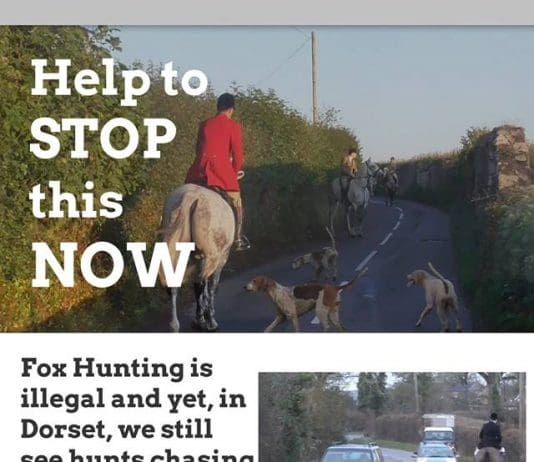 Why are they allowed to break the law with impunity?