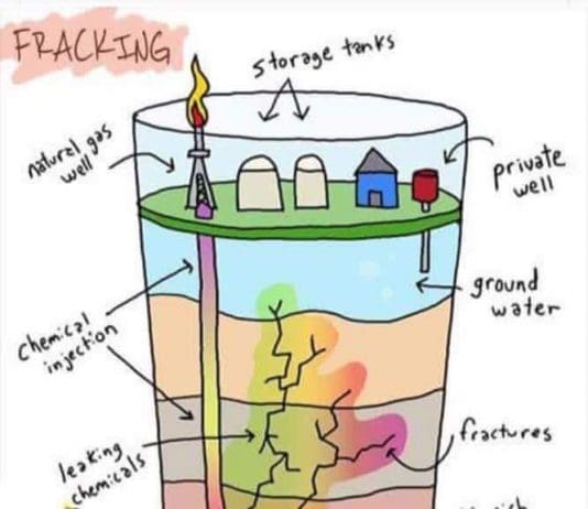 ‘No indication that shale gas resources would be a viable source of energy in Dorset’