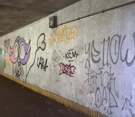 A community project to improve subways in Weymouth is under threat after repeated graffiti attacks