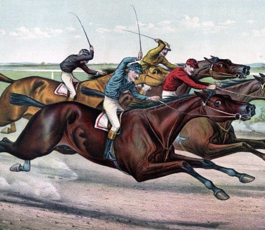 FUNDRAISING EVENING FOR DORSET MIND