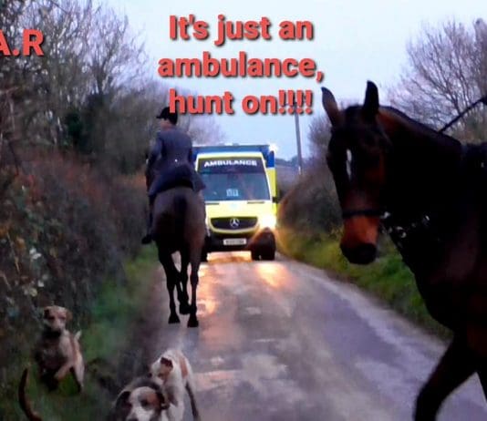 Are South Dorset Tory MP Richard Drax’s South Dorset Hunt beginning to crumble?