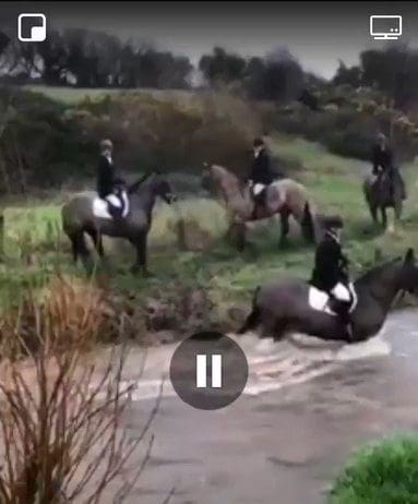 ‘Help…I’m drowning’… Don’t hunt foxes then you awful Tory bastard