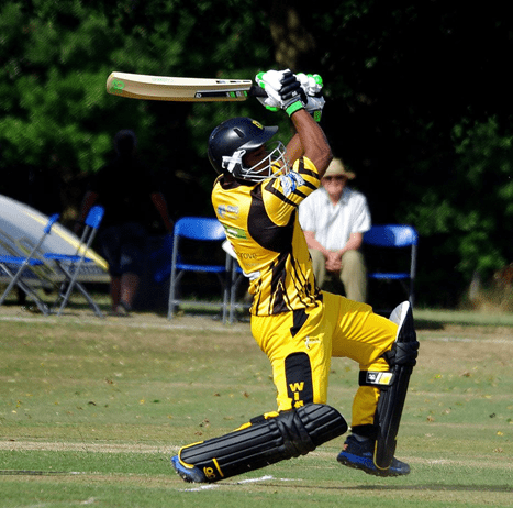 Celebrity Cricketers are coming to Bournemouth to raise money for charity