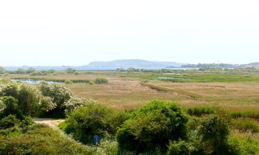 Indecent exposure at Lodmoor Nature Reserve