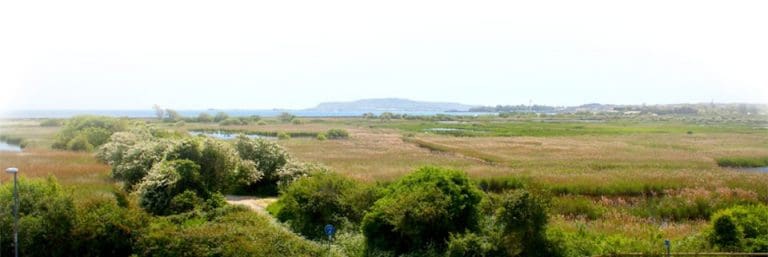 Indecent exposure at Lodmoor Nature Reserve