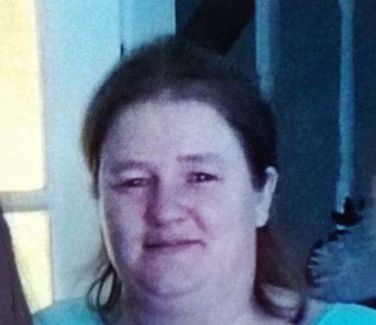 Appeal to find missing woman from Blandford
