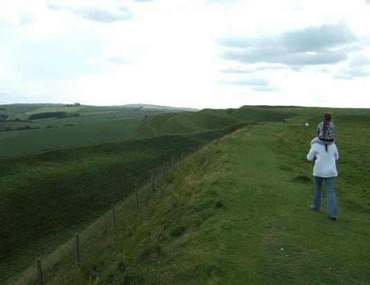 Another theft of sheep in Dorchester