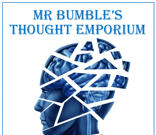 Mr Bumble’s Thought Emporium